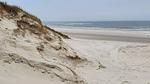 WaterView - Ferienhaus für 5 Personen (67 m²) in Blåvand - Top-Hundeurlaub