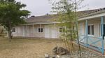 ExteriorSummer - Ferienwohnung für 5 Personen (27 m²) - Top-Hundeurlaub