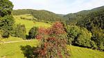 AreaSummer1KM - Ferienwohnung für 5 Personen (45 m²) - Top-Hundeurlaub