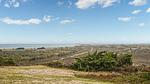 house - Ferienhaus für 11 Personen (150 m²) in Anholt - Top-Hundeurlaub