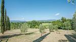 activities - Ferienhaus für 6 Personen (170 m²) in Sovicille - Top-Hundeurlaub