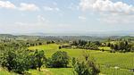 house - Ferienhaus für 6 Personen (170 m²) in Sovicille - Top-Hundeurlaub
