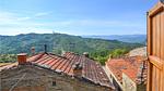 view-from-room - Ferienhaus für 14 Personen (200 m²) in Pratovecchio - Top-Hundeurlaub