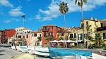 house - Ferienhaus für 4 Personen (60 m²) in Imperia - Top-Hundeurlaub
