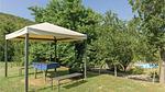 activities - Ferienhaus für 6 Personen (110 m²) in Baccano - Top-Hundeurlaub