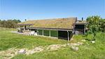 house - Ferienhaus für 14 Personen (174 m²) in Blokhus - Top-Hundeurlaub