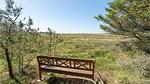 view-from-room - Ferienhaus für 14 Personen (174 m²) in Blokhus - Top-Hundeurlaub
