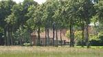 exterior - Ferienhaus für 12 Personen (140 m²) in Vriescheloo - Top-Hundeurlaub