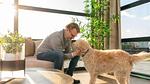LivingRoom - Ferienhaus für 6 Personen (80 m²) in Nieuw-Loosdrecht - Top-Hundeurlaub
