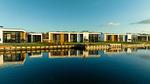 ExteriorSummer - Ferienhaus für 6 Personen (80 m²) in Nieuw-Loosdrecht - Top-Hundeurlaub