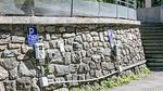 ExteriorSummer - Ferienwohnung für 3 Personen (20 m²) - Top-Hundeurlaub