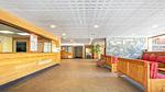 HallReception - Ferienwohnung für 3 Personen (20 m²) - Top-Hundeurlaub