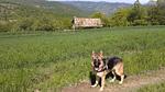 exterior - Ferienhaus für 3 Personen (55 m²) in Albaretto della Torre - Top-Hundeurlaub