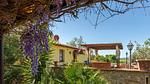 exterior - Ferienhaus für 6 Personen (60 m²) in Roccastrada - Top-Hundeurlaub