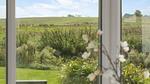 view-from-room - Ferienhaus für 8 Personen (102 m²) in Gilleleje - Top-Hundeurlaub