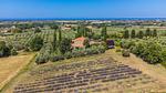 exterior - Ferienwohnung für 3 Personen (50 m²) in Marina Di Bibbona - Top-Hundeurlaub
