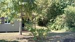 GardenSummer - Ferienhaus für 2 Personen (35 m²) - Top-Hundeurlaub
