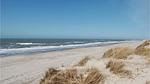 house - Ferienhaus für 6 Personen (115 m²) in Hvide Sande - Top-Hundeurlaub