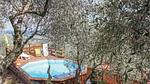pool - Ferienhaus für 3 Personen (40 m²) in Buti - Top-Hundeurlaub