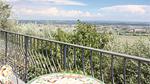 view-from-room - Ferienhaus für 3 Personen (40 m²) in Buti - Top-Hundeurlaub
