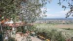 view-from-room - Ferienhaus für 3 Personen (40 m²) in Buti - Top-Hundeurlaub
