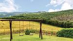 activities - Ferienhaus für 18 Personen (300 m²) in Acquapendente - Top-Hundeurlaub