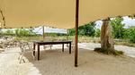 outside - Ferienhaus für 9 Personen (330 m²) in Palluau-sur-Indre - Top-Hundeurlaub