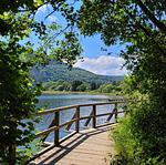 Kleine Bauern Villa im Herzen des Nationalparks Eifel - Top-Hundeurlaub