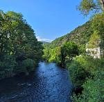 Kleine Bauern Villa im Herzen des Nationalparks Eifel - Top-Hundeurlaub