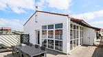 outside - Ferienhaus für 12 Personen (219 m²) in Blokhus - Top-Hundeurlaub