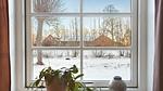 bed - Ferienwohnung für 4 Personen (60 m²) in Otterup - Top-Hundeurlaub