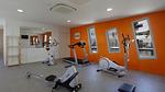 gym - Ferienwohnung für 3 Personen (25 m²) - Top-Hundeurlaub