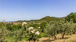 view-from-room - Ferienhaus für 12 Personen (200 m²) in Guardea - Top-Hundeurlaub
