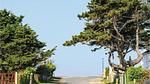 house - Ferienhaus für 6 Personen (50 m²) in Hauteville-sur-mer - Top-Hundeurlaub