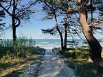 Strand - Klassik Ferienwohnung mit 1 Schlafzimmer und Terrasse im Erdgeschoss (178) - Top-Hundeurlaub
