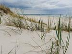 Strand - Klassik Ferienwohnung mit 1 Schlafzimmer und Terrasse im Erdgeschoss (178) - Top-Hundeurlaub