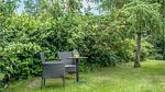 outside - Ferienhaus für 7 Personen (120 m²) in Stege - Top-Hundeurlaub