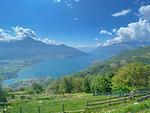 großer gepflegter grüner Garten - Rustico Bella Vita Bungalow - Top-Hundeurlaub
