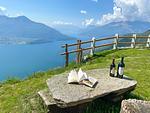 Natursteinplatte und Sitzbänke - Rustico Bella Vita Bungalow - Top-Hundeurlaub