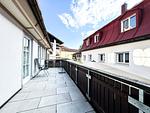 Sonne - Staufen - Top-Hundeurlaub