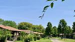 ExteriorSummer - Ferienhaus für 3 Personen (41 m²) - Top-Hundeurlaub