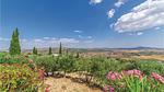 house - Ferienhaus für 8 Personen (230 m²) in Aragona - Top-Hundeurlaub