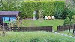 house - Ferienhaus für 4 Personen (50 m²) in Wolphaartsdijk - Top-Hundeurlaub