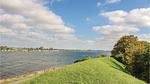 house - Ferienhaus für 4 Personen (50 m²) in Wolphaartsdijk - Top-Hundeurlaub