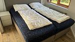 house - Bungalow für 4 Personen in Julianadorp - Top-Hundeurlaub