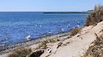beach - Ferienhaus für 18 Personen (250 m²) - Top-Hundeurlaub