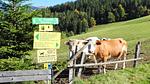 AreaSummer5KM - Ferienwohnung für 5 Personen (45 m²) - Top-Hundeurlaub
