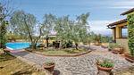 outside - Ferienhaus für 12 Personen (280 m²) in Forcoli - Top-Hundeurlaub