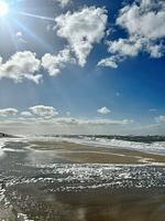 Nordsee - Haus Nordland App. 29 (Stelter) - Top-Hundeurlaub