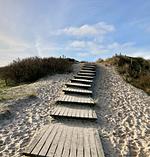 Strandweg - Haus Nordland App. 29 (Stelter) - Top-Hundeurlaub